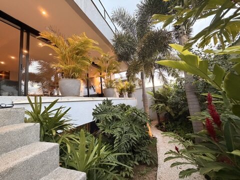 Jardim